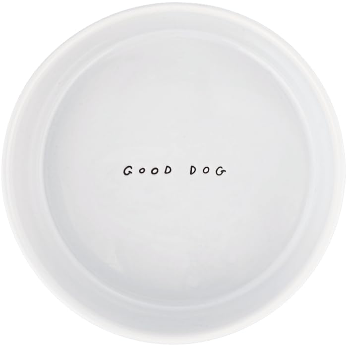 EveryYay by Petco Dining in Good Ceramic Dog Bowl 6 Cups - size: Large