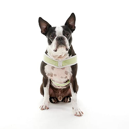 Gooby Simple Step in III Harness - Green, Large - Small Dog Harness with Scratch Resistant Outer Vest - Soft Inner Mesh Harness for Small, Medium Dogs - color: Green, size: Large chest (18.5∼23.75")