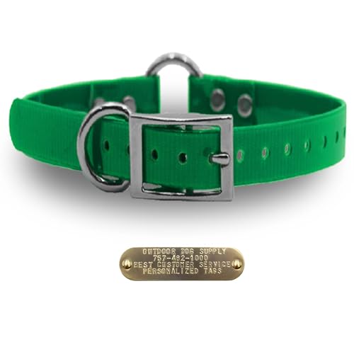 Outdoor Dog Supply 1" Heavy Duty Waterproof D-Ring & Center O-Ring Dog Collar for Medium & Large Dogs | Custom 3/4" Brass Nameplate (Dark Green, 18") - color: Dark Green, size: 18" Long