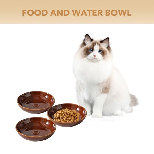 Havniva Ceramic Cat Bowl Whisker Friendly 5.5” Cat Dishes Shallow Cat Food Bowl Anti-Slip Pet Water Bowls for Indoor Cats, Wide Cat Food Dish Prevent Whisker Fatigue (3 Pack) - color: Caramel Brown - B