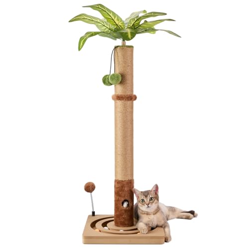 MECOOL 35in Tall Cat Scratching Post Sturdy and Premium Scratch Posts with Hanging Ball and Ball Track Cute Cat Tree for Indoor Cats - size: 35 inches for Adult cats