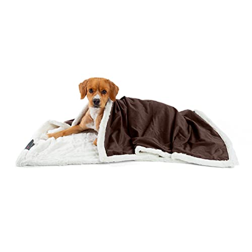 Best Friends by Sheri Premium Self-Warming Ilan Microfiber Faux Fur Pet Throw Blanket 40x50 in Brown - color: Dark Brown