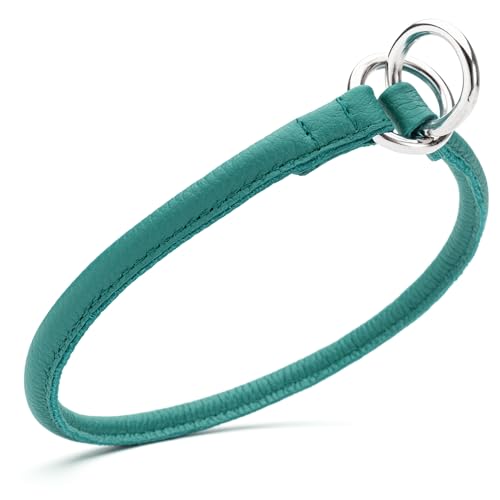 Dogline Soft and Padded Round Leather Choke Collar for Dogs (Teal, W1/3-in x L18-in) - color: Teal, size: W1/3-in x L18-in