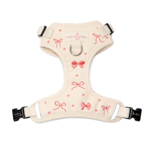 Lucy & Co. Ever So Sweet No-Pull Dog Harness, Adjustable Front Clip Harness with Comfort Padding, Small - color: Ever So Sweet, size: Small