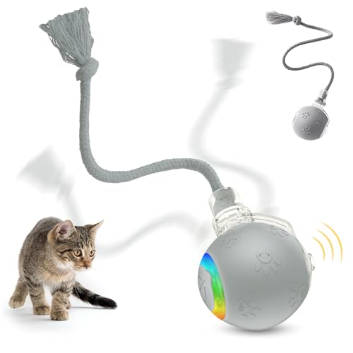 Interactive Cat Toys for Indoor Cats,Flying Bird Cat Kitten Toy,Moving Cat Toy for Bored Indoor Adult Pets,Smart Automatic Cat Chase Ball Toy (Gray) - color: Gray