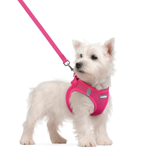 rabbitgoo Dog Harness Small Sized and Leash Set, Step in Soft Light Puppy Vest, Breathable Mesh Pet Harness, Reflective for Safe Easy Walking, Rose Red S - color: Rose Red, size: S (chest: 15.1 - 16.5")