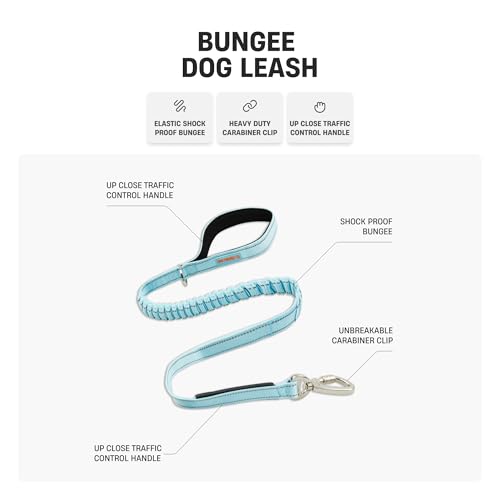 Dog Friendly Co. Bungee Dog Leash | Strain Free & Shock Resistant for Control | Neoprene Padded Handle, Heavy-Duty Carabiner Clip, and D-Ring | Classic Blue, Size Regular - color: Classic Blue, size: Regular
