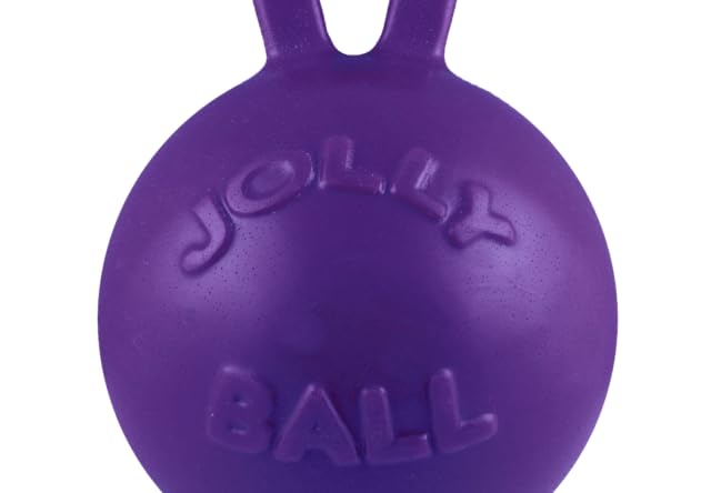 Jolly Pets Tug-n-Toss Heavy Duty Dog Toy Ball with Handle, 4 Inches/Petite, Purple (404 PR) - color: Purple, size: 4 inches/Petite
