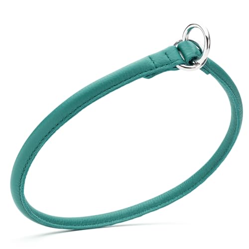 Dogline Soft and Padded Round Leather Choke Collar for Dogs (Teal, W3/8-in x L20-in) - color: Teal, size: W3/8-in x L20-in