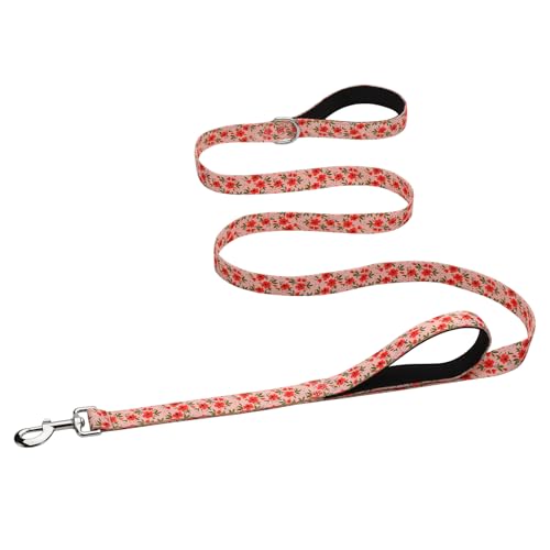 Hikiko 4 Foot Double Handle Dog Leash Cute Girl Padded Traffic Handles for Walking Training (Cream Natural Floral, 4ft) - color: Cream Natural, size: 1 in x 4 ft