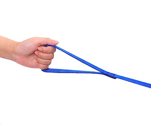 AmaGood Dog/Puppy Obedience Recall Training Agility Lead-15 ft 20 ft 30 ft 50 ft Long Leash-for Dog Training,Tie Out,Play,Safety,Camping (30 feet, Blue) - color: Blue, size: 30 Foot (Pack of 1)