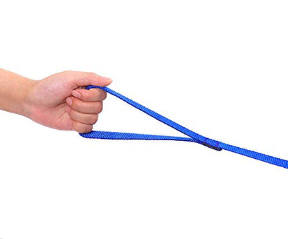 AmaGood Dog/Puppy Obedience Recall Training Agility Lead-15 ft 20 ft 30 ft 50 ft Long Leash-for Dog Training,Tie Out,Play,Safety,Camping (30 feet, Blue) - color: Blue, size: 30 Foot (Pack of 1)