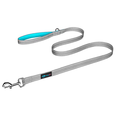 PHOEPET 5 Feet Dog Leash - Dual-Side Reflective - Soft Padded Handle - Fit for Walking, Training or Exploring Hiking, Camping (Grey + Mint Green Base) - color: Grey + Mint Green Base