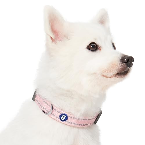 Blueberry Pet Essentials Matching Dog Collar & Leash Set | Pastel Reflective Adjustable Collar with 4 ft Lead for Large Dogs, Baby Pink - color: Baby Pink, size: Large