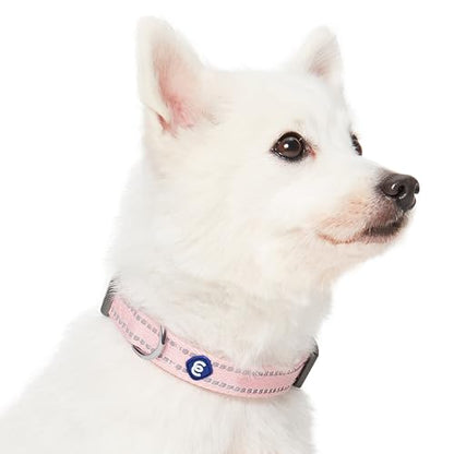 Blueberry Pet Essentials Matching Dog Collar & Leash Set | Pastel Reflective Adjustable Collar with 4 ft Lead for Large Dogs, Baby Pink - color: Baby Pink, size: Large