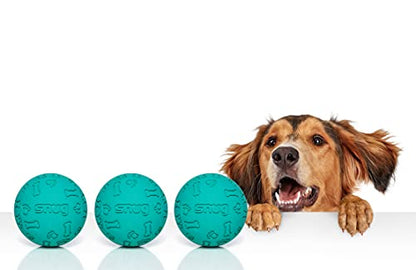 Snug Rubber Dog Balls for Small and Medium Dogs - Tennis Ball Size - Virtually Indestructible (3 Pack - Aqua) - color: Aqua
