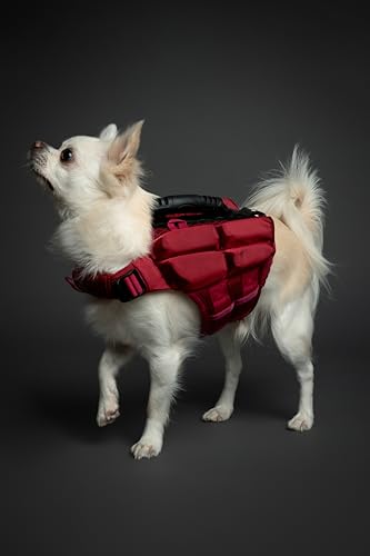 NOAH & PAW Dog Life Jacket, Human Standards Lifejacket Design, Dog Life Vest for Swimming and Boating, 3X Foam Support for Max Floating, Breathable Mesh, Salvavidas para Perros, Size XS - size: XS