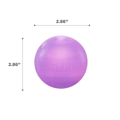 Outward Hound by Planet Dog Strobe Light Up LED Ball Dog Toy, Purple - color: Purple Strobe Toy