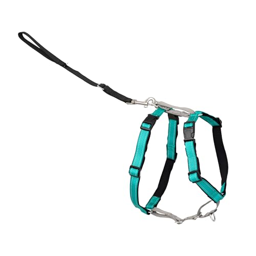 PetSafe 3 in 1 No-Pull Dog Harness for Small Dogs- Walk, Train or Travel - Helps Pets from Pulling on Walks - Seatbelt Loop Doubles as Quick Access Handle - Reflective- Extra Small, Teal - color: Teal, size: Extra Small (Pack of 1)