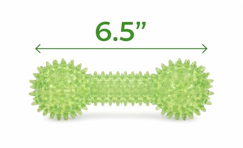 Squeaky Spiky Dog Barbell Toy for Teeth Cleaning & Gum Massage 6.3 Inch Medium Large Dogs Green | Spiny TPR Rubber Chew Toy for Fetch Play Interactive Dental Barbell Durable BPA Free Nontoxic Floats - size: Green Bone 1-Pack