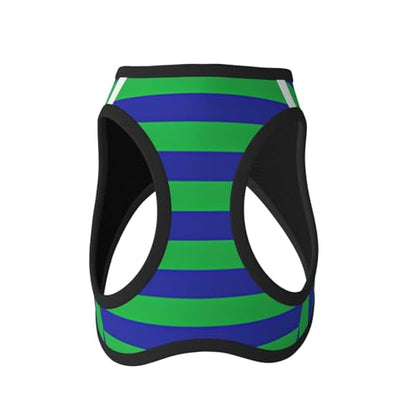 Green and Blue Stripes Dog Harness and Leash Set, No Pull Reflective Adjustable Soft Mesh Padded Pet Vest with Safety Buckle for Small Medium Dogs and Cats Medium - color: Green And Blue Stripes, size: Medium