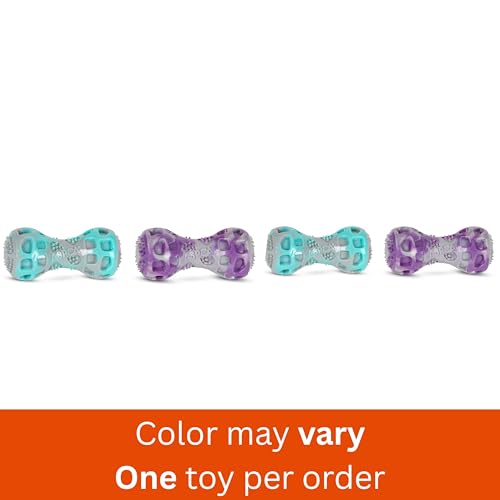 ASPCA Marble Stick Dog Toy – Vanilla-Scented Durable TPR Chew Toy for Dogs, Easy-to-Carry Textured Stick with Dental Benefits, Gentle on Teeth