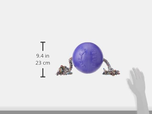 Jolly Pets Romp-n-Roll Rope and Ball Dog Toy, 8 Inches/Large, Purple, Large Breeds - color: Purple, size: Large (8 in)