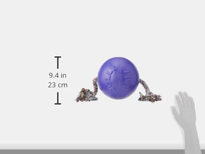Jolly Pets Romp-n-Roll Rope and Ball Dog Toy, 8 Inches/Large, Purple, Large Breeds - color: Purple, size: Large (8 in)