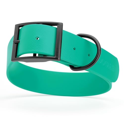 Dogline Biothane Waterproof Dog Collar Strong Coated Nylon Webbing with Black Hardware Odor- Proof for Easy Care Easy to Clean High Performance Fits Small Medium or Large Dogs, Teal