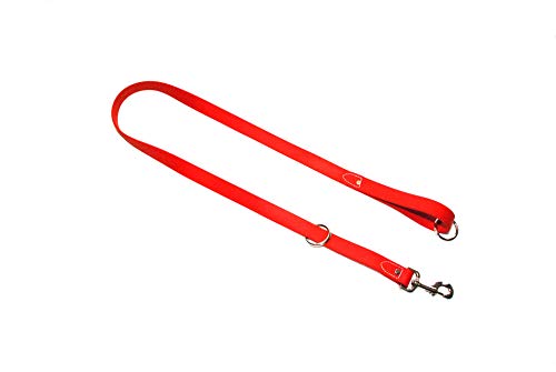 Regal Dog Products Waterproof Leash – 5 ft. Red Dog Leash with Easy to Use Collar Hook, Lightweight, and Proof Training Pet Lead with Vinyl-Coated Webbing for Small, Medium, Large, or XL Dogs - color: Red