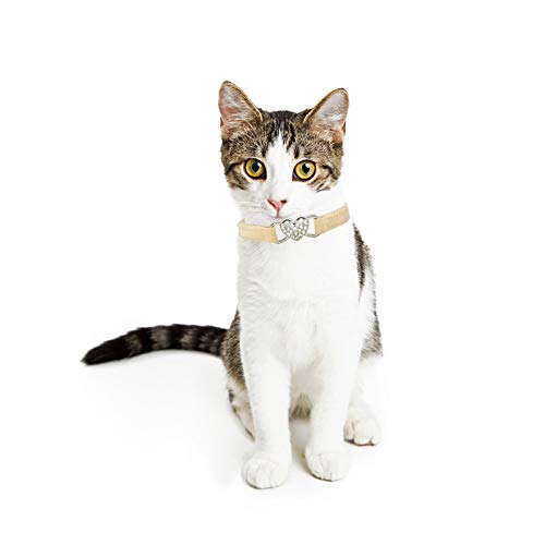 CHUKCHI Heart Bling Cat Collar with Safety Belt and Bell 8-11 Inches - color: Beige