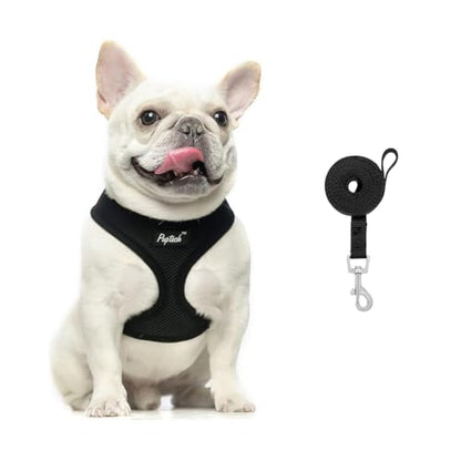 PUPTECK Soft Mesh Dog Harness and Leash Set Pet Puppy Cat Comfort Padded Vest No Pull Harnesses, Solid Black, XS - color: Solid Black, size: XS (NECK: 10", CHEST: 10"-14")