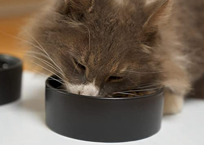 NAT & Jules Nibbles and Dribbles Black 5 inch Stoneware Small Pet Bowls Set of 2