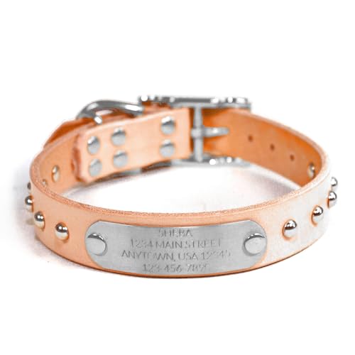 Handmade Studded Bridle Leather Dog Collar, Silver Tone Hardware and Stainless Steel Nameplate (Natural Beige) - color: Natural Beige