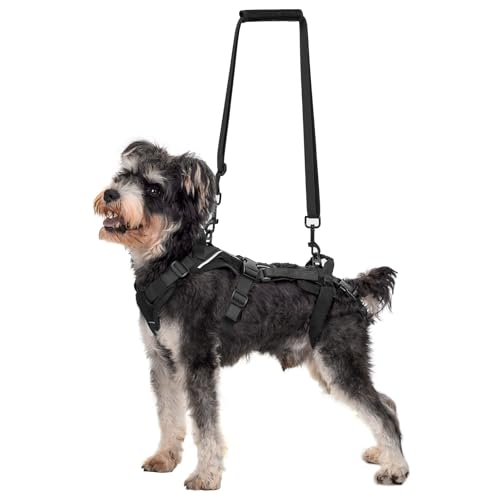 OneTigris Dog Lift Harness for Small Dogs XS, Dog Sling Carrier for Small Dogs, Full Body Lift Harness with Reflective Straps, Dog Support Harness for Back Legs - color: Black, size: Small