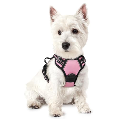 rabbitgoo Dog Harness No Pull with 2 Leash Clips, Adjustable Soft Padded, Reflective Oxford No Choke Pet Vest with Easy Control Handle for Puppy, Pink, XS - color: Pink, size: X-Small