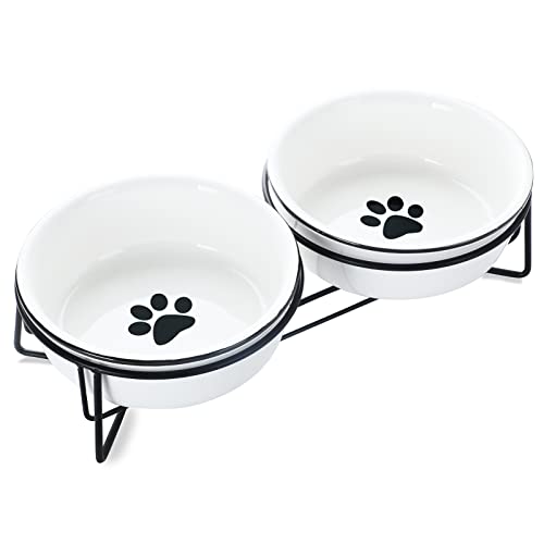 GDCZ Ceramics Raised Cat Bowls with Heighten Metal Stand,15 Ounces White - color: White