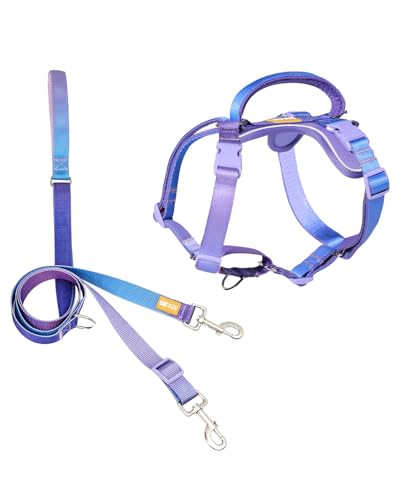 DF Freedom No Pull Martingale Dog Harness & Leash Set, Front Clip Adjustable Harness with Reflective & Padded Handle, Easy Walking & Training, Rainbow, 3/4", Chest 20" - 26.8"