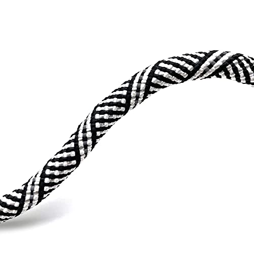 Heavy Duty Dog Leash with 1100LB Rated Locking Carabiner – 6FT Climbing-Inspired Reflective Rope Leash for Large & Medium Dogs that Pull – Padded Handle (White) - color: White