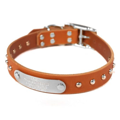 Handmade Studded Bridle Leather Dog Collar, Silver Tone Hardware and Stainless Steel Nameplate (Orange) - color: Orange