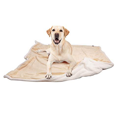 Dog Blankets for Large Dogs, Soft Fluffy Fleece Pet Blankets for Couch, Sofa, Dog Beds, Car Seats, Creat, Washable, 50x60 inches, Beige - color: Latte