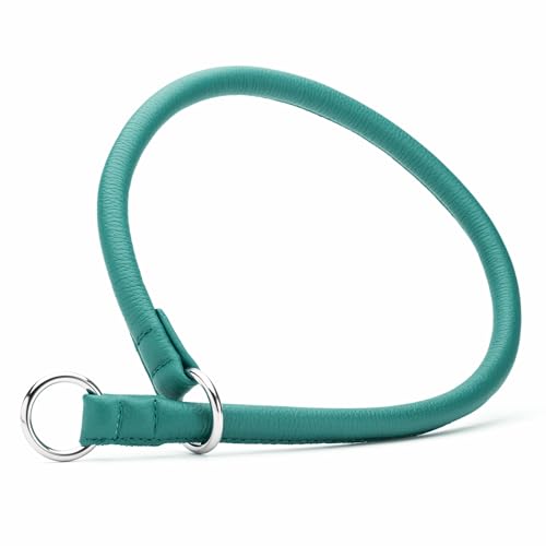 Dogline Soft and Padded Round Leather Choke Collar for Dogs (Teal, W1/3-in x L18-in) - color: Teal, size: W1/3-in x L18-in