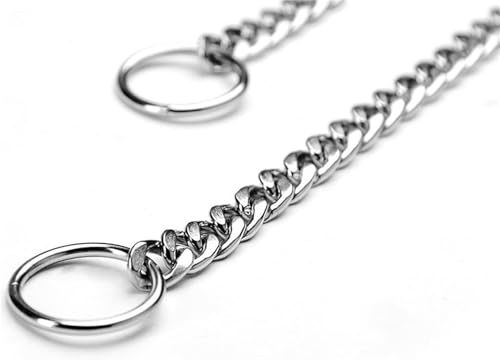 Silver Dog Choke Collars,Metal Slip Link Martingale Choker Dog Collar Heavy Duty Training Dog Collars Puppy Collars for XS Small Medium Large Big Breed Dogs,XS - color: Flat Sliver Chain, size: XS(Neck Max 12inch)D2.0mm