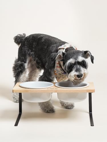 Elevated Dog Bowls, Raised Dog Bowl Stand with Two 6.5 inch Ceramic Bowl, Non-Slip Puppy Food and Water Bowls, Dogs Feeder for Small and Medium Breed, White - color: White, size: 6.5inch