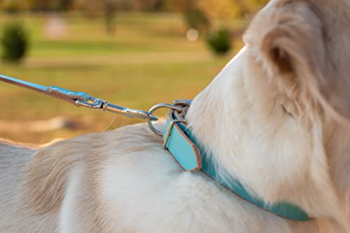 Handmade Personalized Bridle Leather Dog Collar, Engraved Stainless Steel Nameplate (Robin's Egg Blue) - color: Robin's Egg Blue