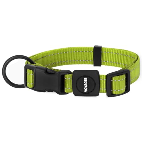 Best Pet Supplies Voyager Reflective Dog Leash or Collar with Neoprene Handle, for Small, Medium, and Large Breed Puppies, Cute and Heavy Duty for Walking, Running and Training - Lime Green, M - color: Collar (Lime Green), size: M (13" - 20.5")