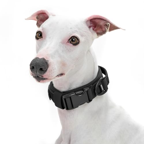 OneTigris Dog Collar for Small Dogs, Soft Padded and Adjustable, Wide Heavy Duty Pet Collars with Durable UTX Buckle for Walking(Black, S) - color: Black, size: S(12"-16")
