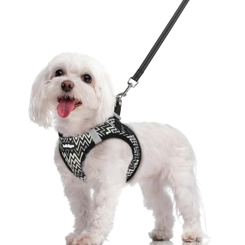 rabbitgoo Dog Harness Small Sized and Leash Set, Step in Soft Light Puppy Vest, Breathable Mesh Pet Harness, Reflective for Safe Easy Walking, Black Zigzag M - color: Black Zigzag, size: M (chest: 16 - 18.5")