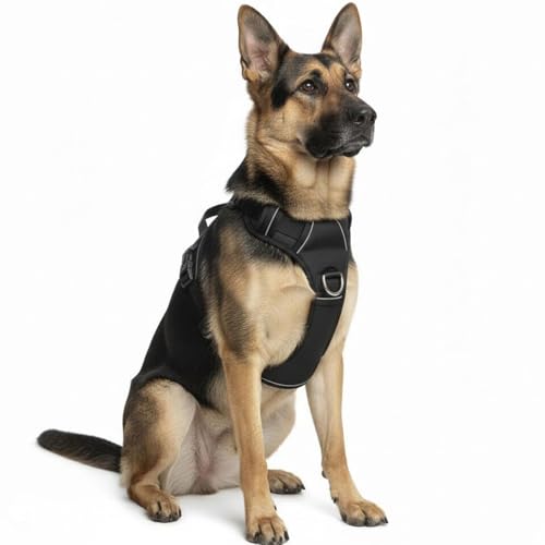 No Pull Dog Harness with 2 Leash Clips, Adjustable Soft Padded Reflective Oxford Pet Vest with Easy Control Handle for Large Dogs (Black, Extra Large) - color: Black, size: Extra Large