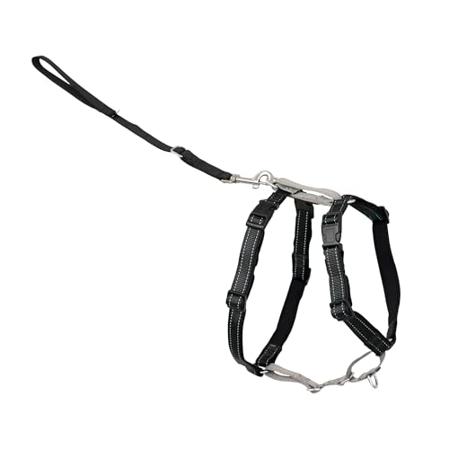 PetSafe 3 in 1 No-Pull Dog Harness for Small Dogs- Walk, Train or Travel - Helps Pets from Pulling on Walks - Seatbelt Loop Doubles as Quick Access Handle - Reflective - Small, Black - color: Black, size: Small (Pack of 1)